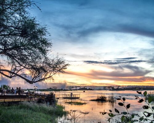 Royal Livingstone 2