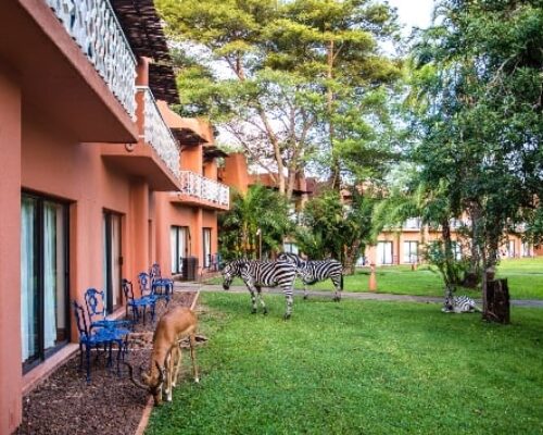 avani_victoria_falls_resort_avani_garden_view_room_590x354
