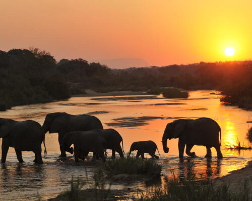 inyati_game_lodge_-_ellie_sunset